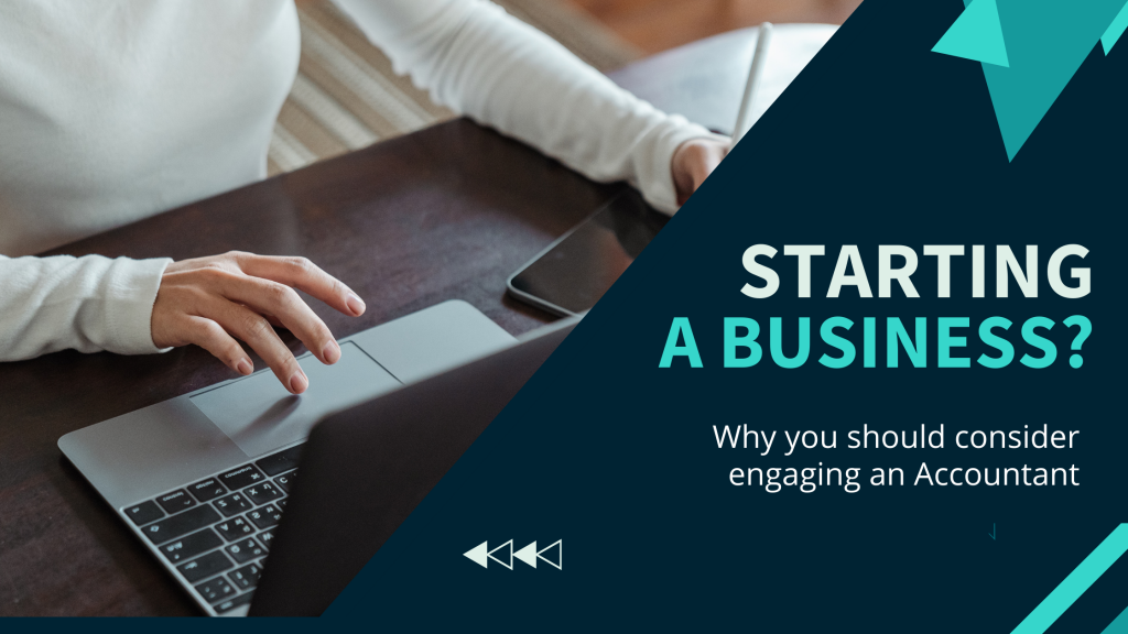 starting a business Cruz and Co